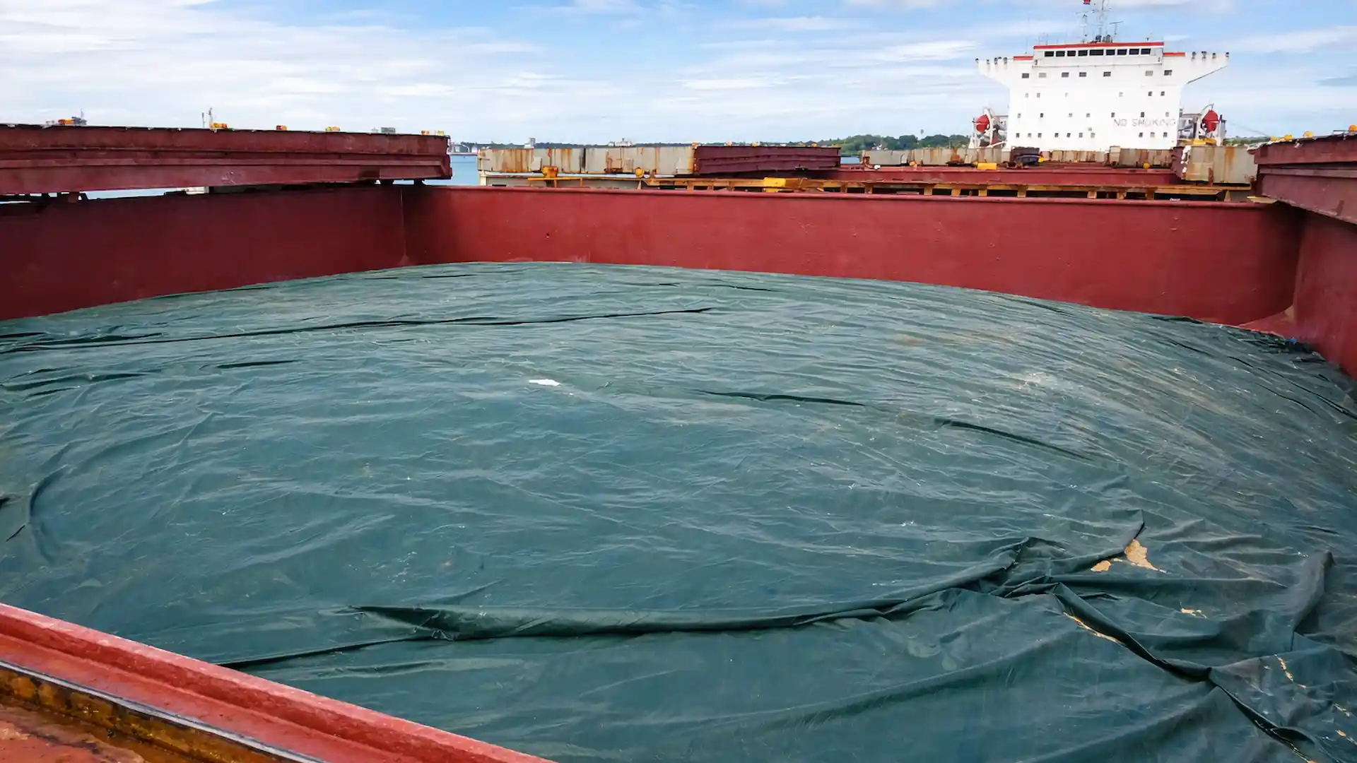 Fumigation services by Mercury Marine Services